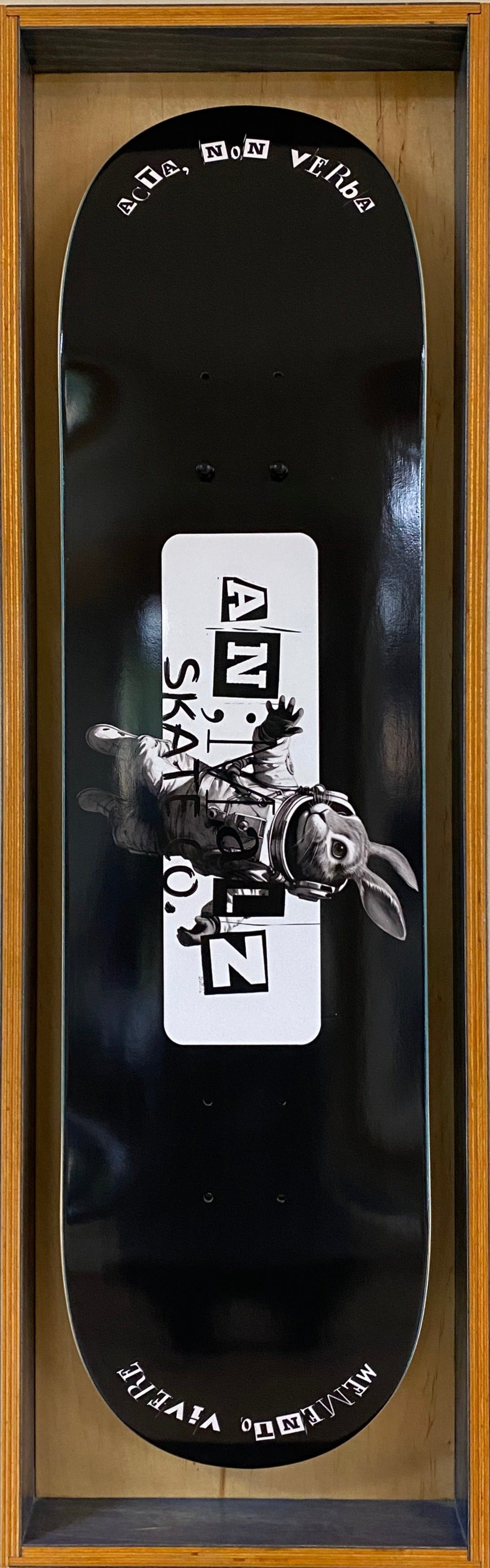 AN;MALZ Astro Deck 8.25"